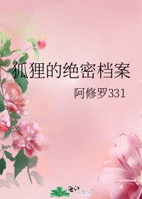 狐狸的绝密档案